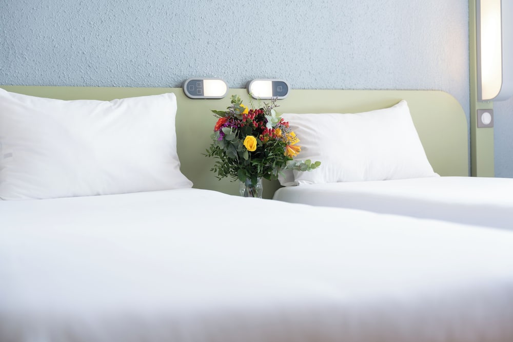 イビス バジェット ル マン サントル 写真