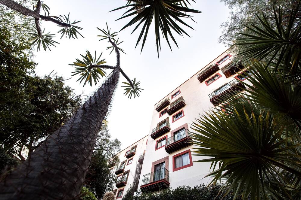 ミシオン グァナファト 写真