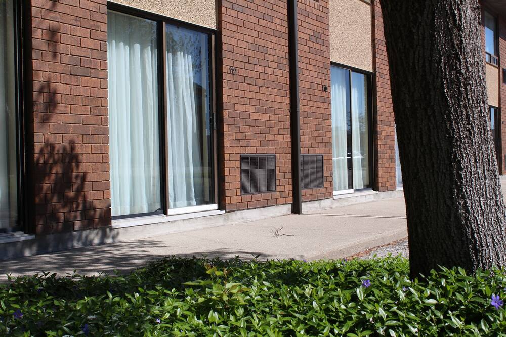 コンフォート イン チャタム 写真