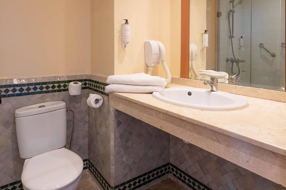 イビス フェス 写真