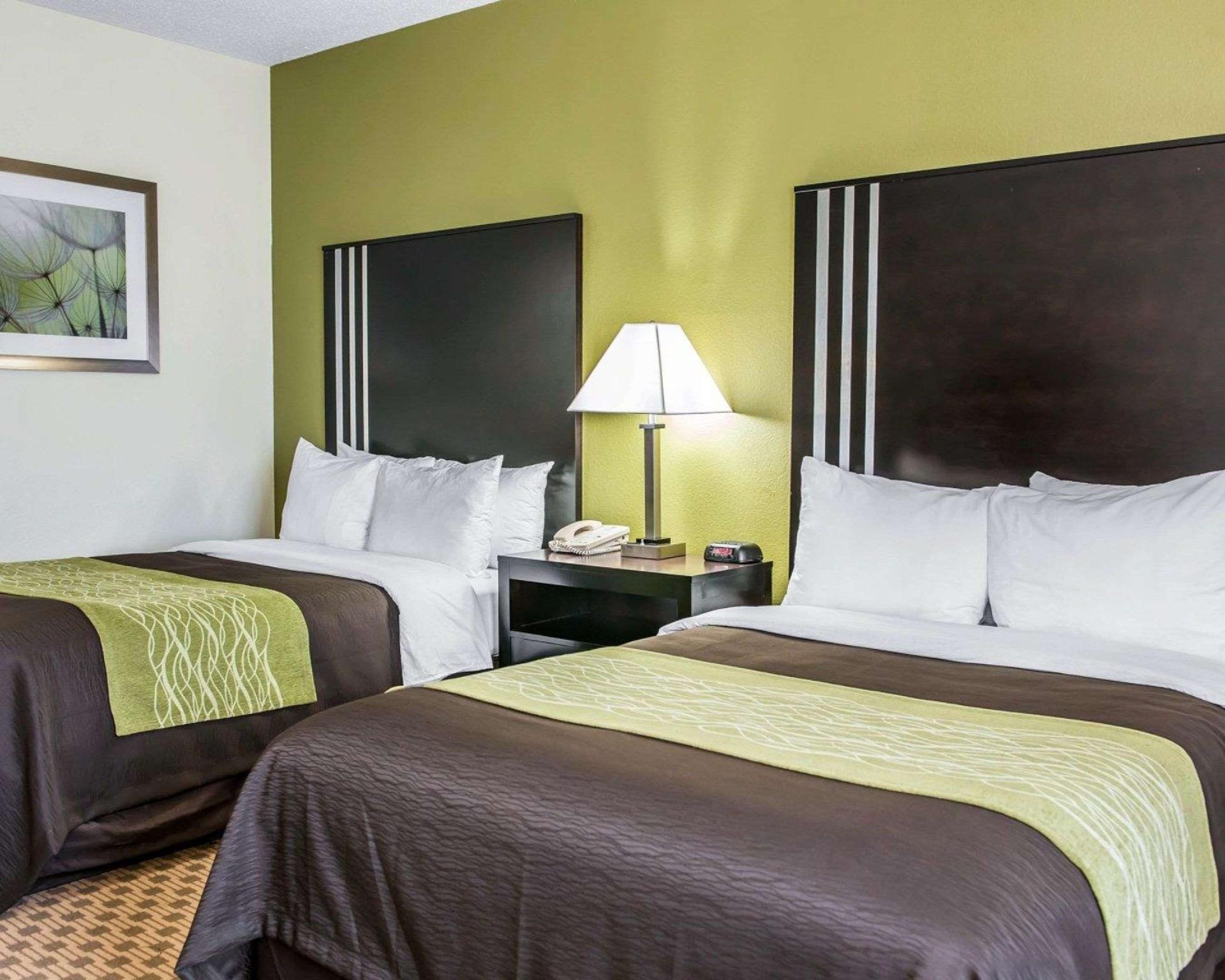 コンフォートイン インディアナポリス イースト 写真