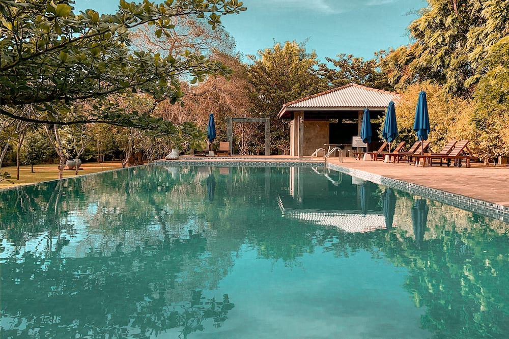 アマーラ フォレスト ホテル シギリヤ 写真