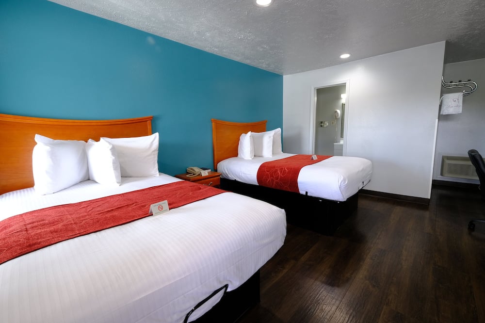 M スター ホテル サーシー 写真