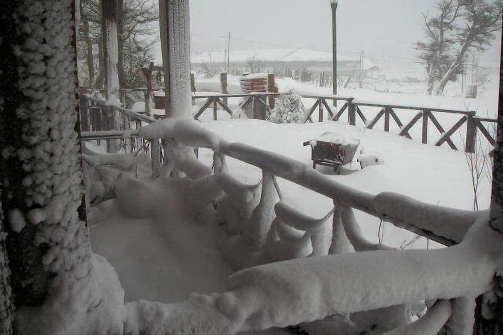 カンパニージャ 写真