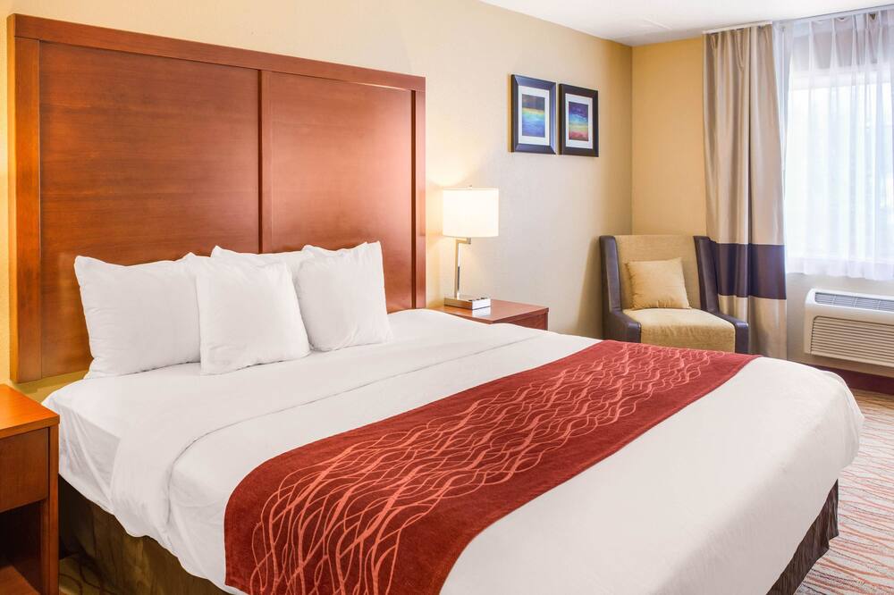 コンフォート イン マウント シャスタ エリア 写真