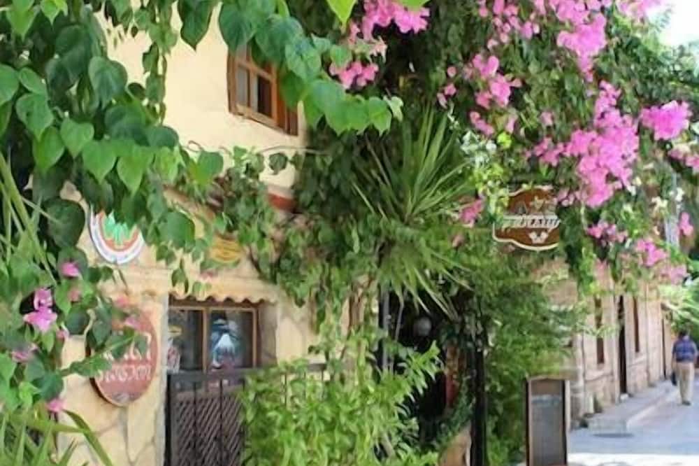 ラゼル ペンション カレイチ 写真