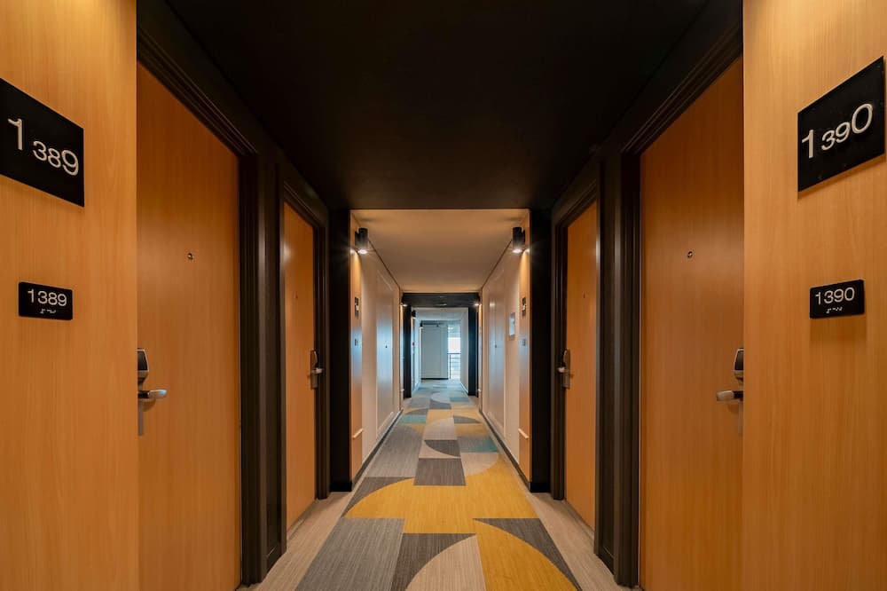 イビス サン パウロ コンゴーニャス 写真