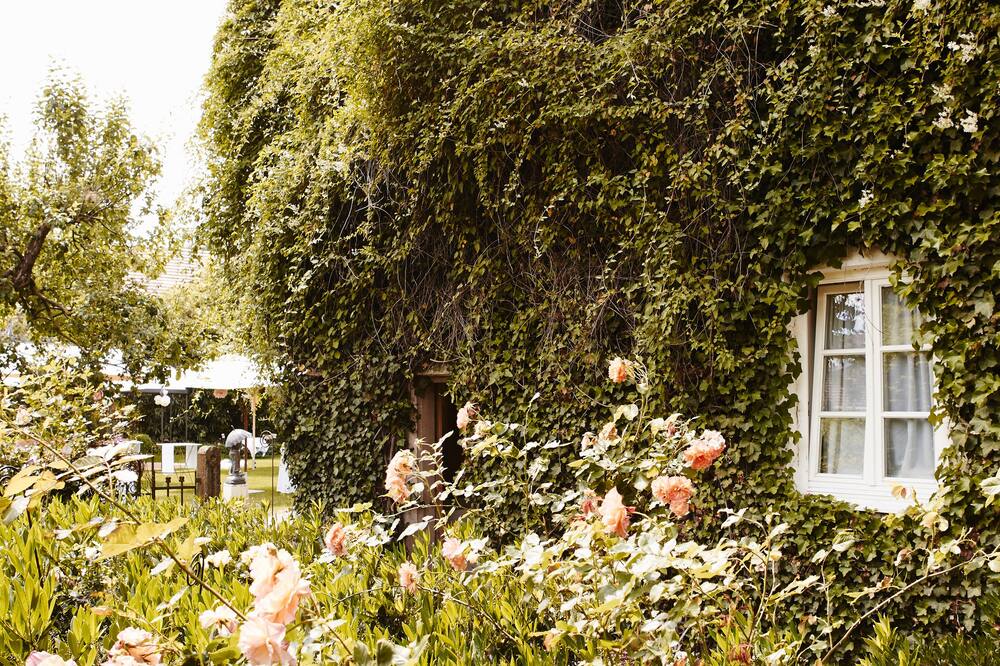 Hotel Gutsgasthof Stangl 写真