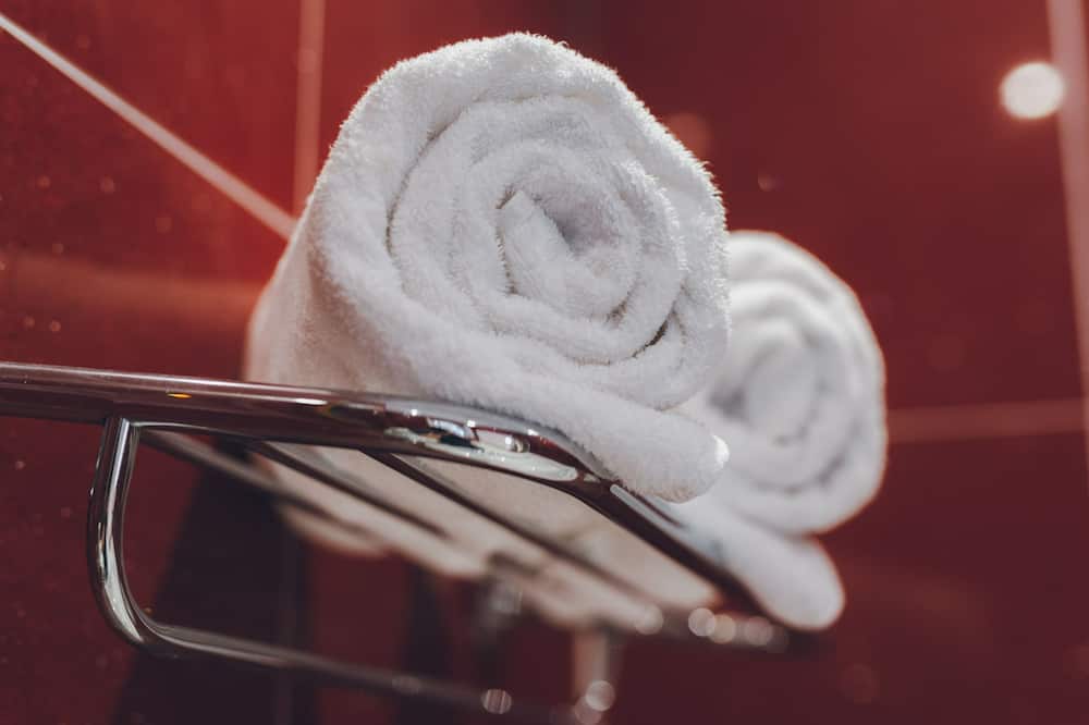 ザ クラレンス ブティック ルームズ 写真