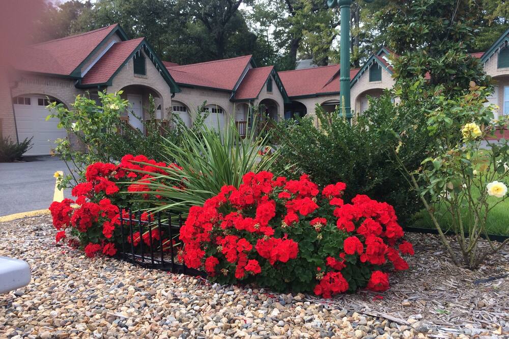 ベスト コート 写真