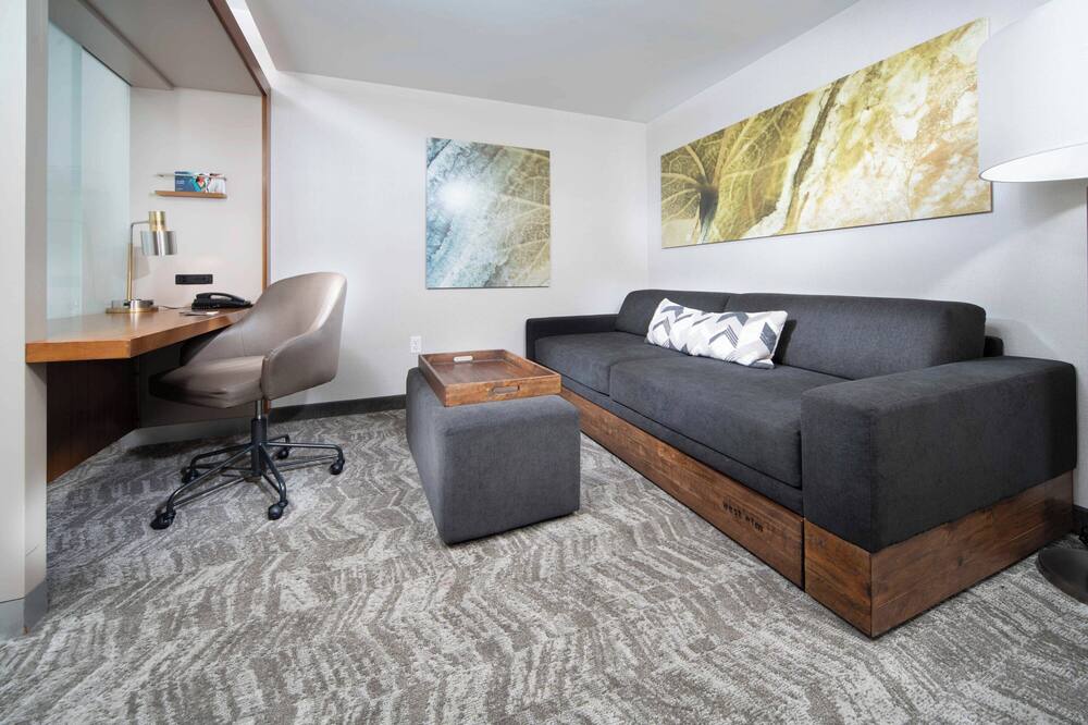 SpringHill Suites by Marriott Philadelphia Valley Forge/King of Prussia 写真