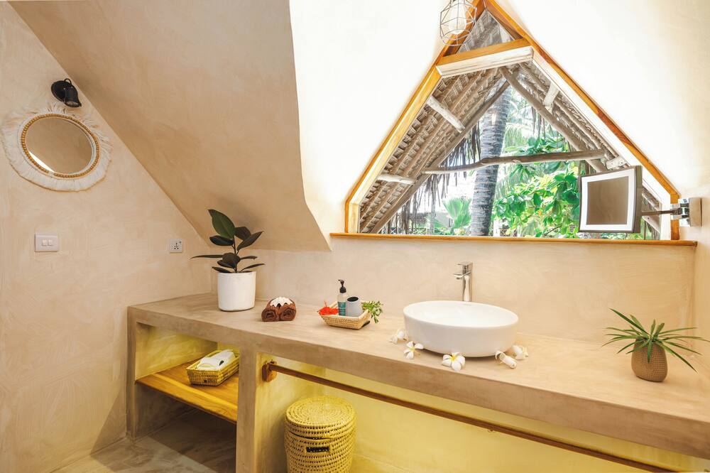 サハリ ザンジバル 写真