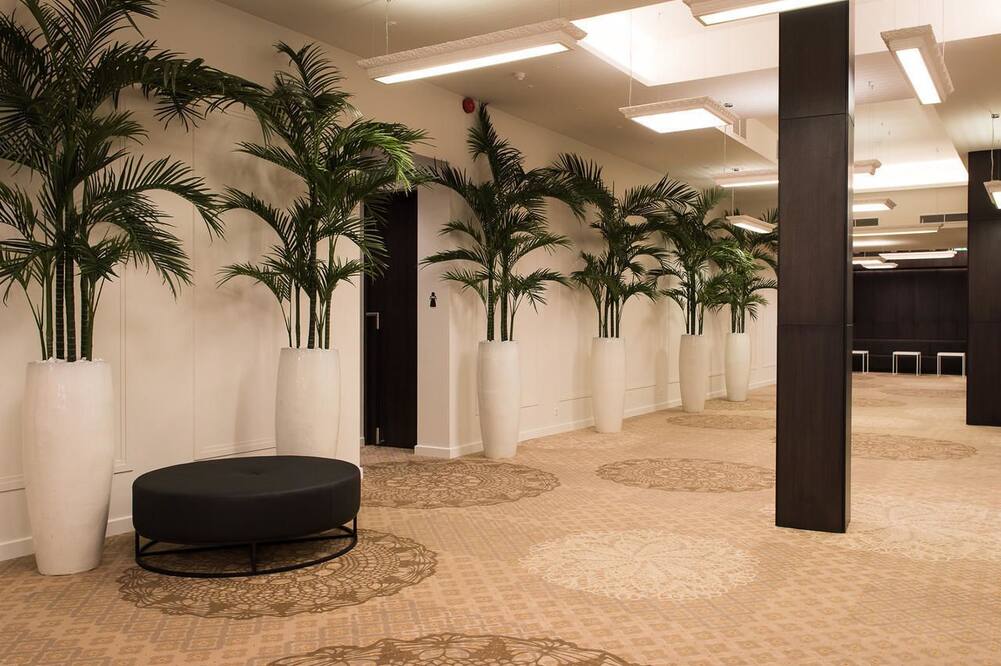 リディア ホテル 写真