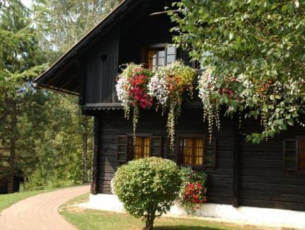 ナチュレル ホテルドルフ シューンライン 写真