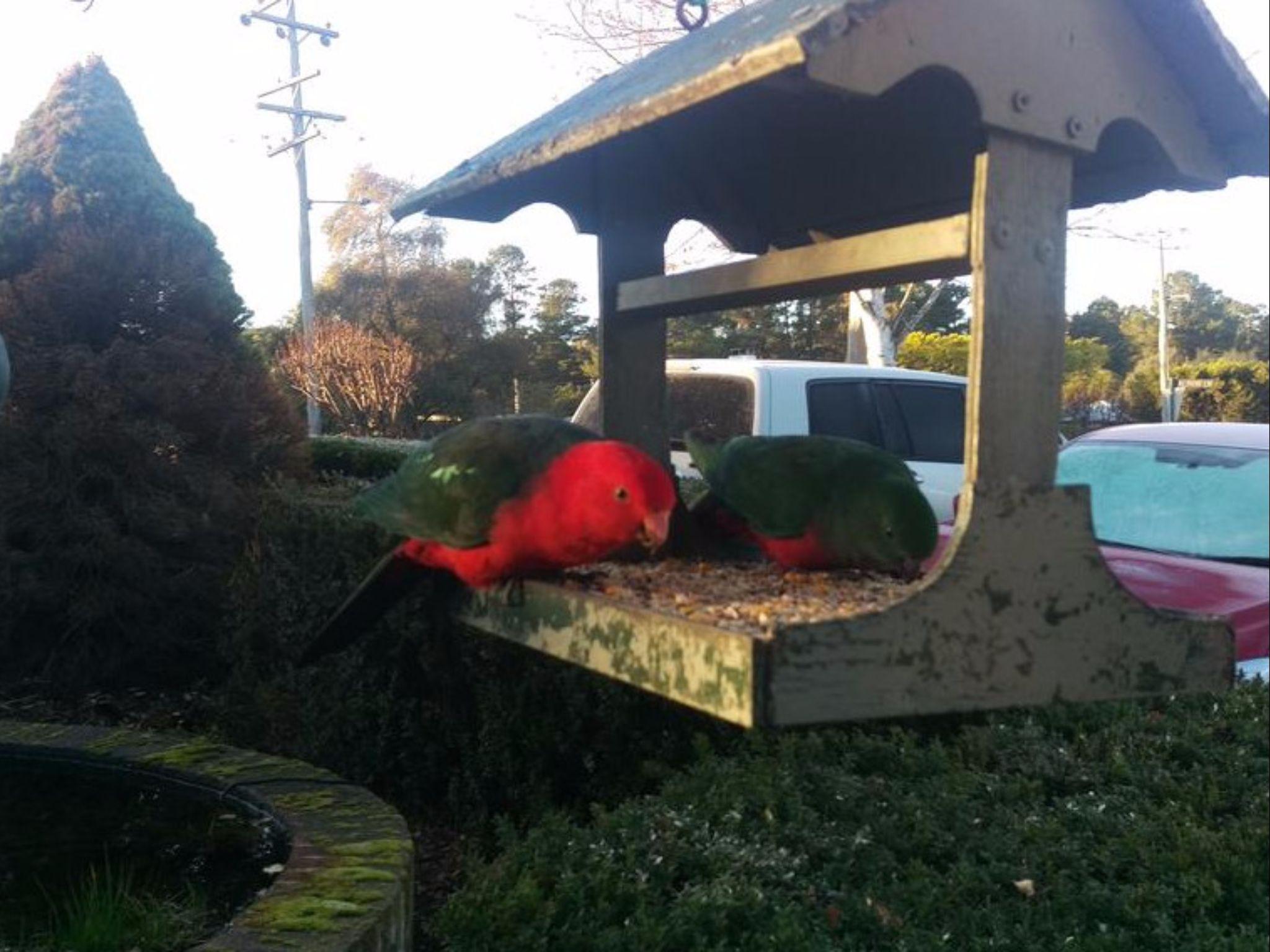 グランド カントリー ロッジ モーテル 写真