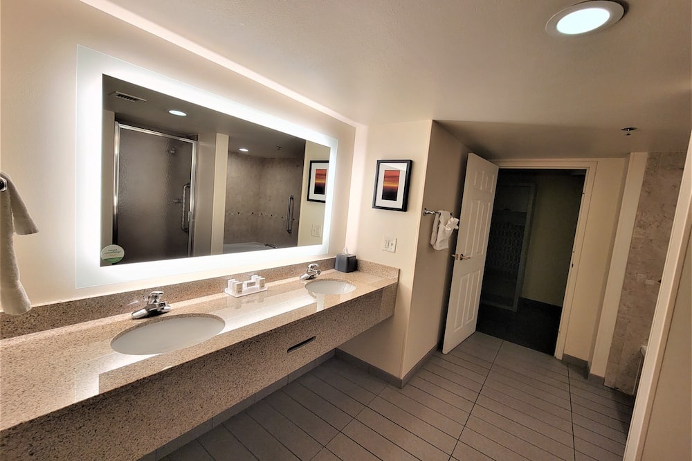 Holiday Inn Hotel & Suites Ann Arbor University of Michigan Area By IHG 写真
