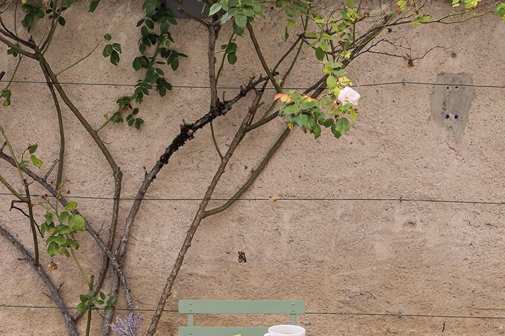 Hotel  De La Paix 写真