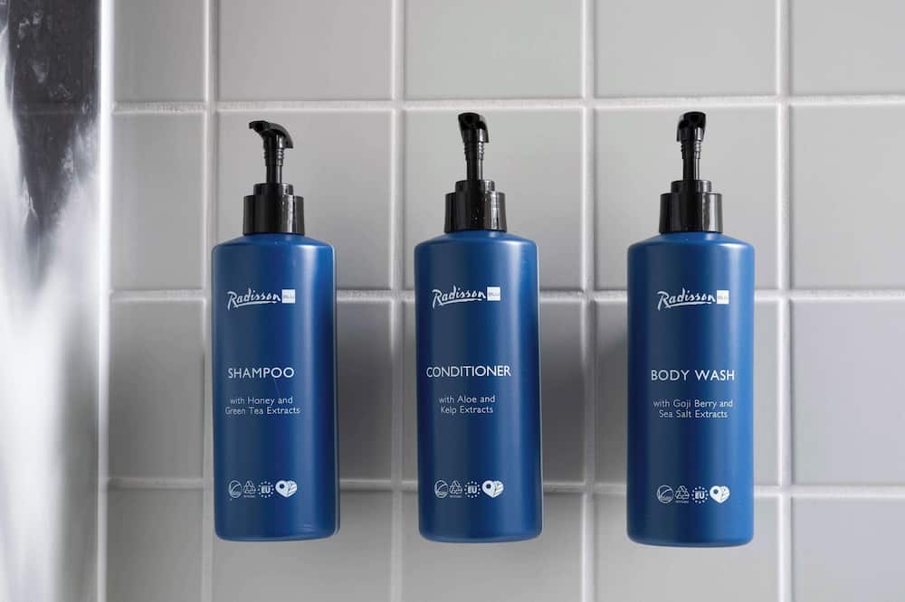 ラディソン ブル 1919 ホテル レイキャヴィーク 写真