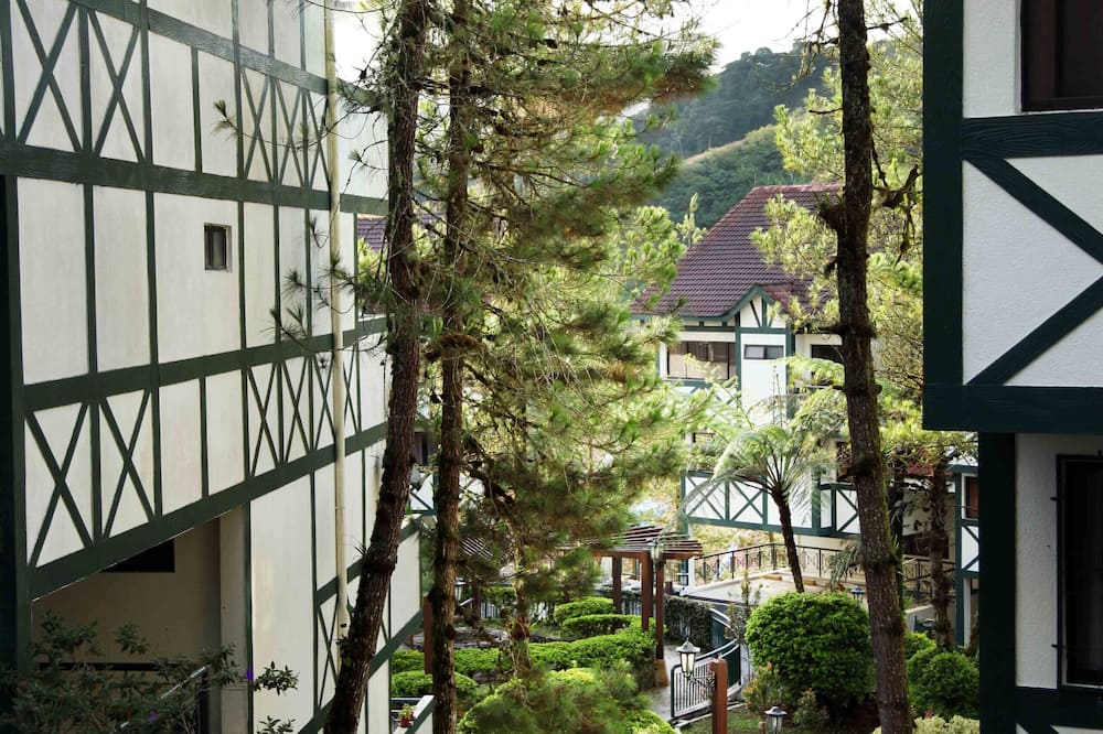 コプトホーン キャメロン ハイランズ 写真