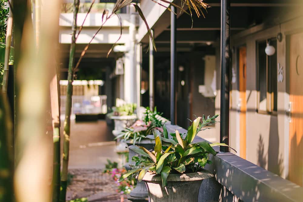 コージー イン チェンマイ 写真