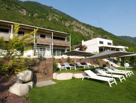 イダルゴ スイーツ 写真