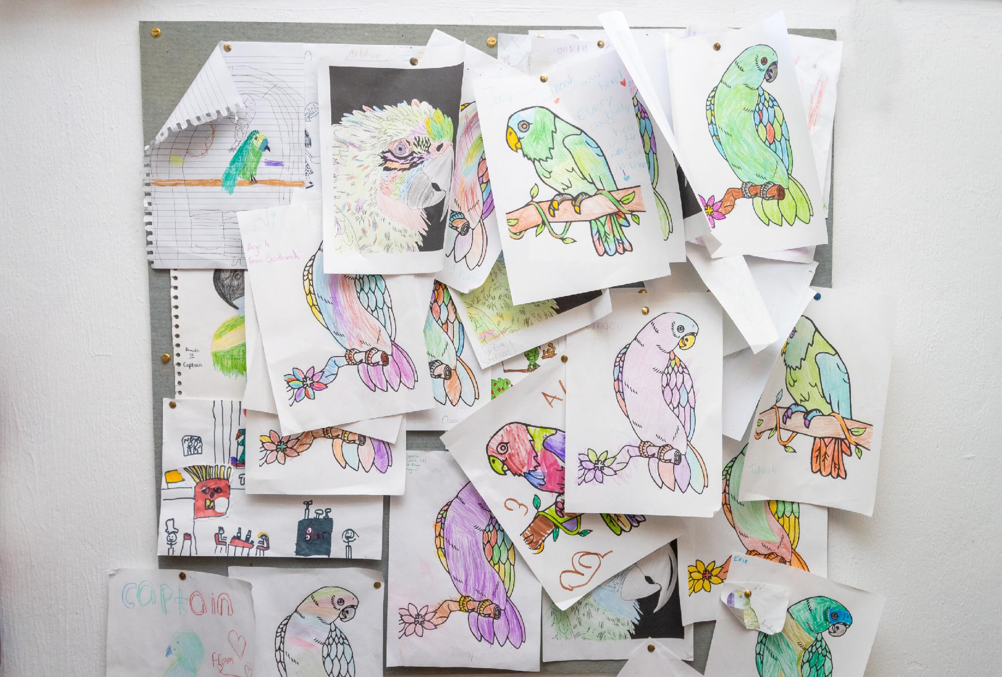 ザ ニュー イン 写真