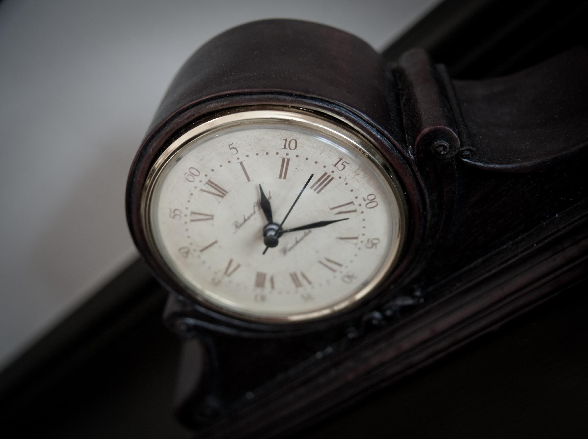 The Wild Boar Hotel 写真