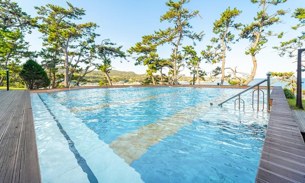 Pohang Pine Wave Spa Pension 写真