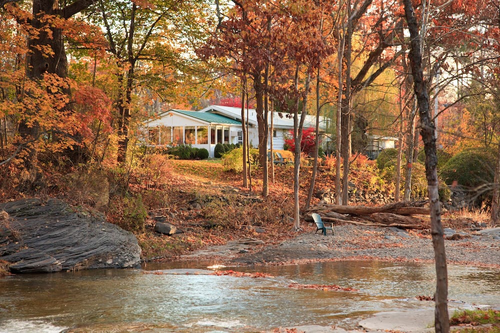ザ ウッドストック イン オン ザ ミルストリーム 写真