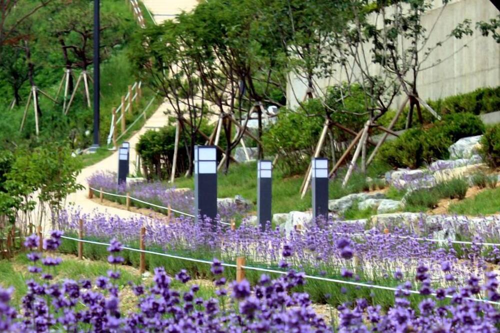 エバーリッチ ホテル 写真