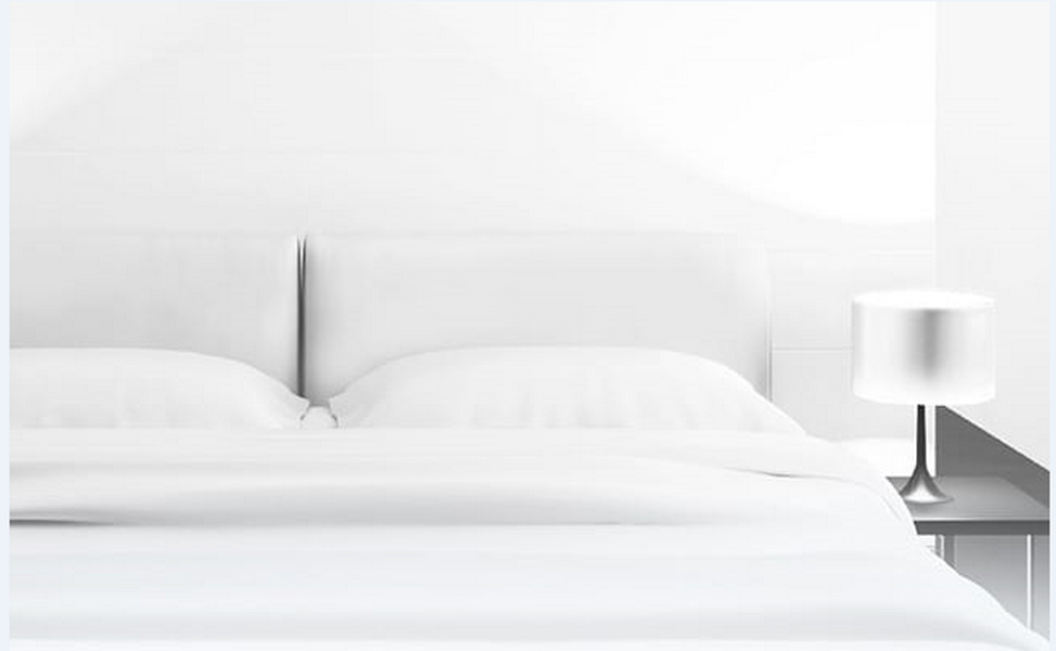 ibis Styles Lyon Confluence 写真