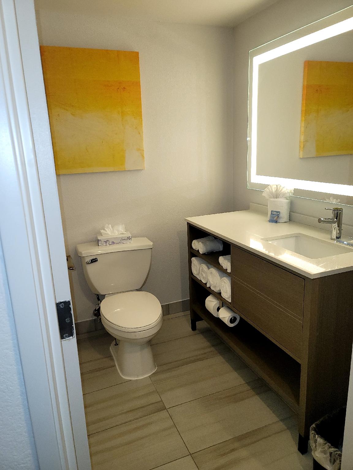 コンフォート イン & スイーツ アーリントン ハイツ - シャウムバーグ 写真