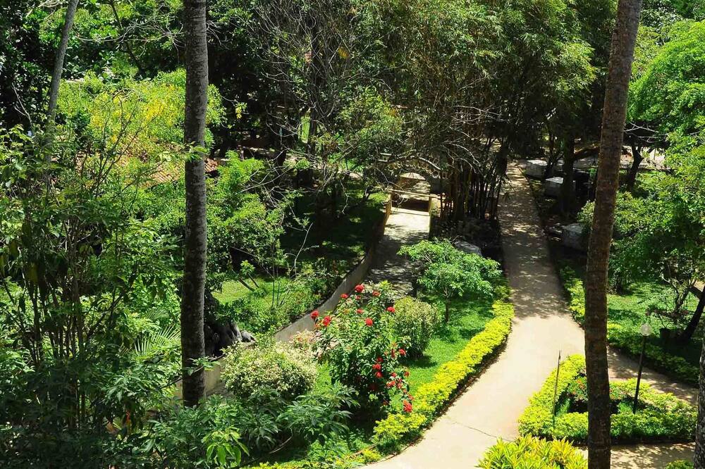 シッダレーパ アーユルヴェーダ リゾート オール ミールズ アーユルヴェーダ トリートメント アンド ヨガ 写真