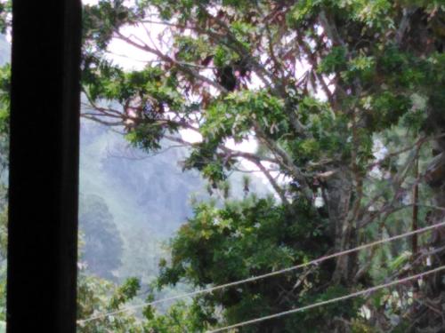 Littleadems View 写真