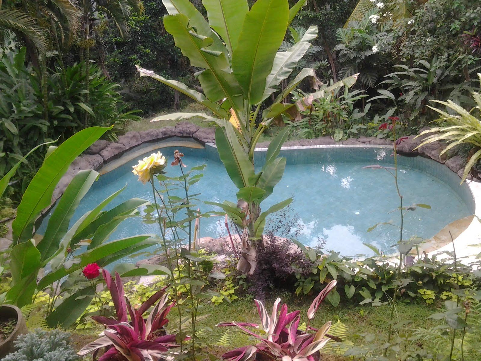 ワンダー ランド ヴィラ 写真