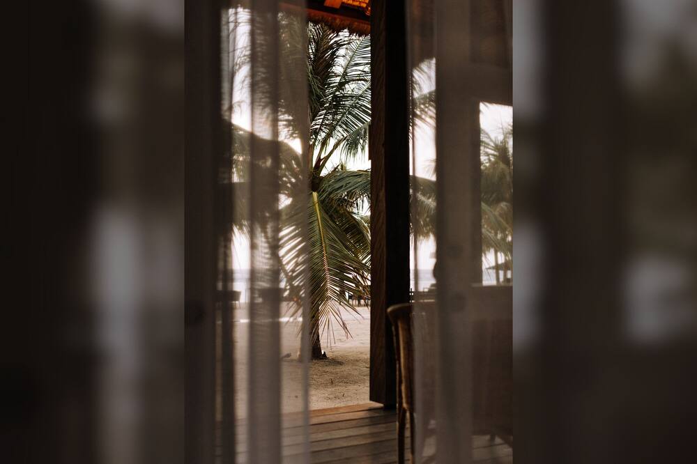 メノ ハウス 写真