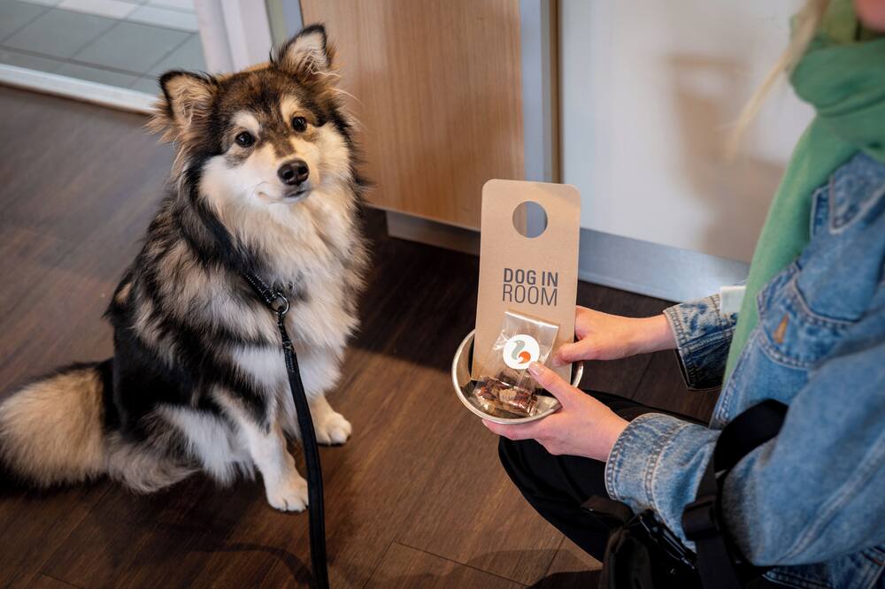 Good Morning Mölndal 写真