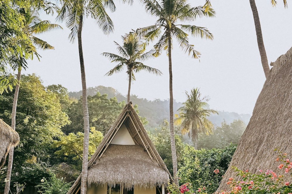 ヴァヤム ブティック リゾート 写真