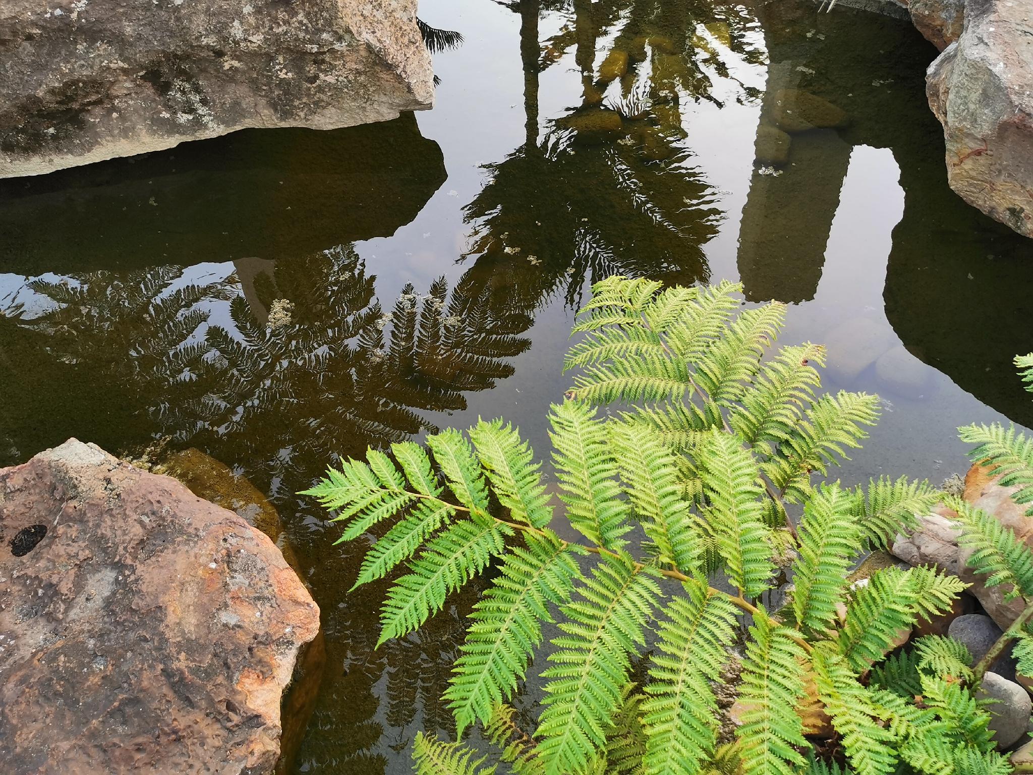 エクセレント ゲスト ハウス 写真