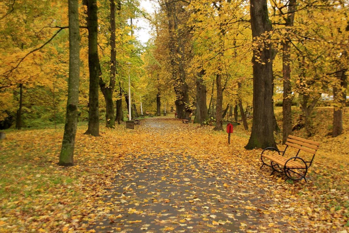 Best Western Silva Hotel 写真