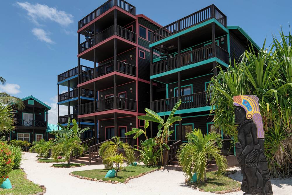 X'tan Ha- The Waterfront 写真