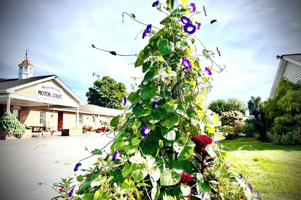 ウェザーベーン モーター コート 写真