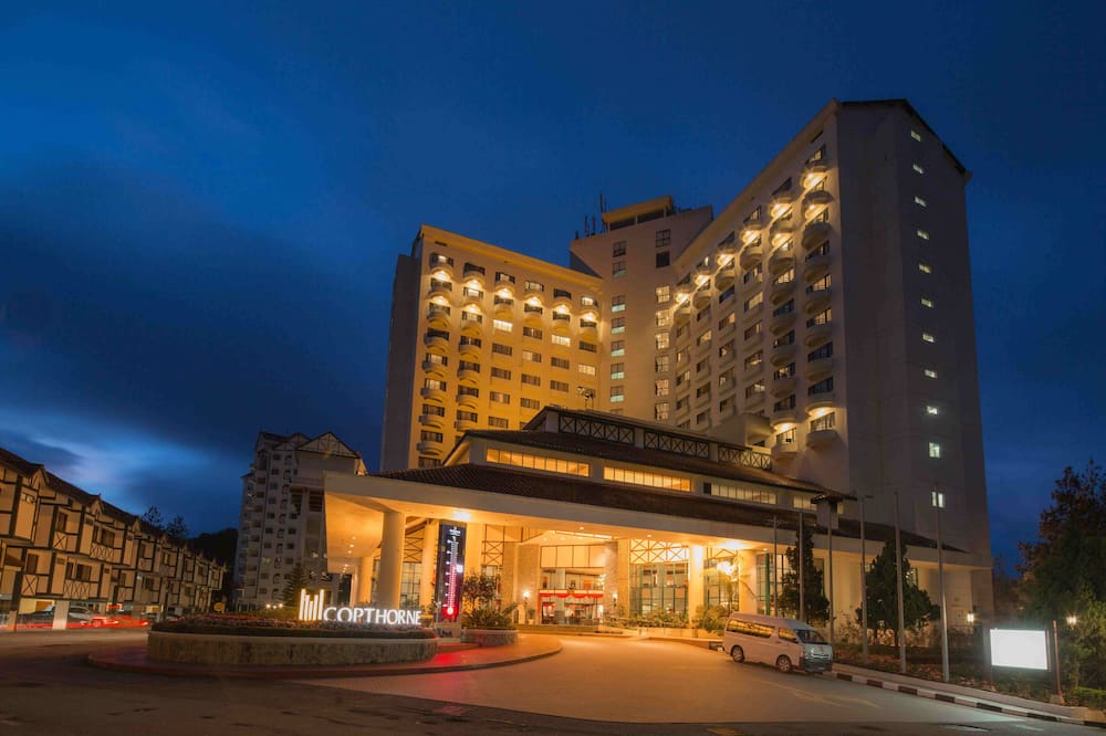 コプトホーン キャメロン ハイランズ 写真