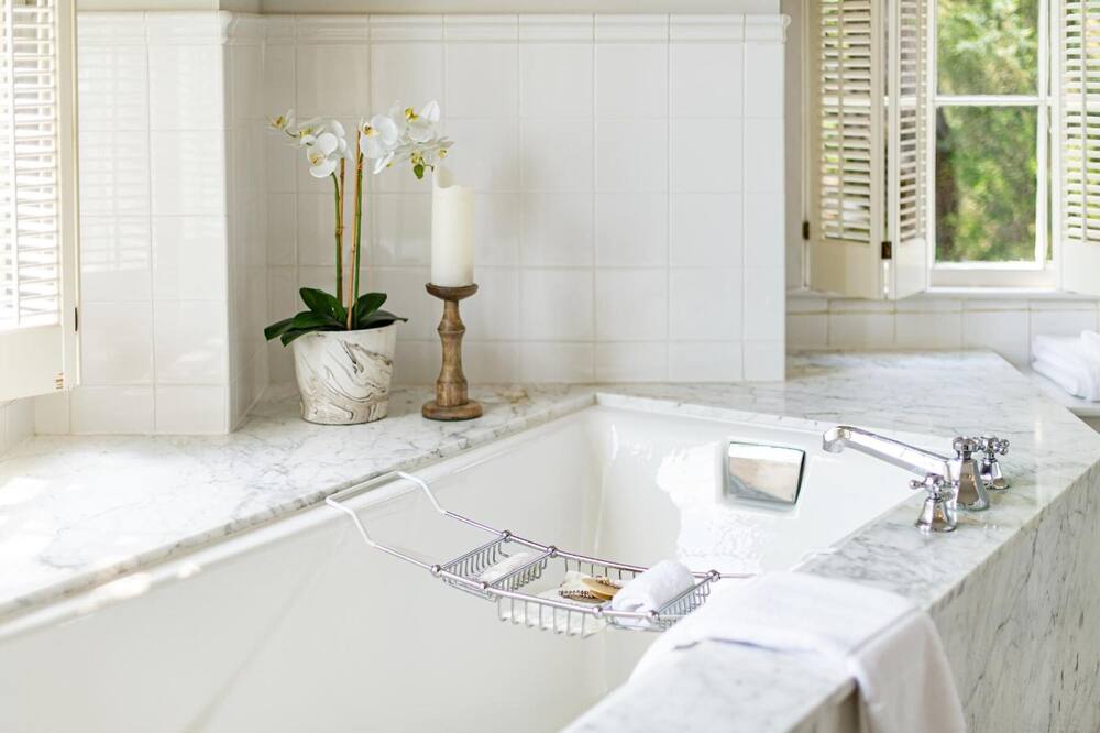 ザ ウィルコックス 写真