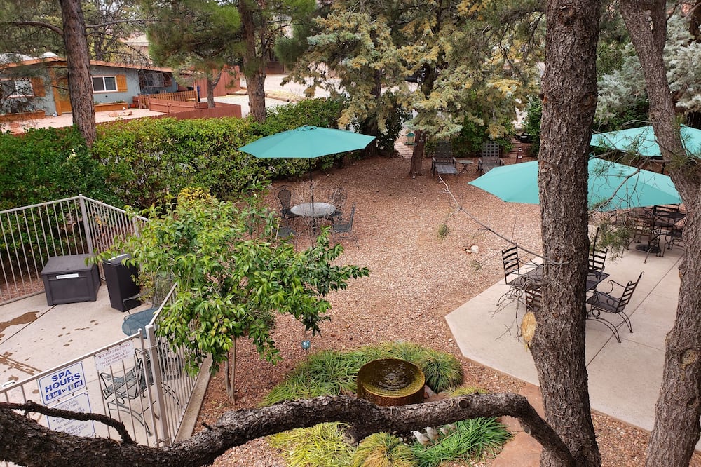 ベイビー クエイル イン 写真