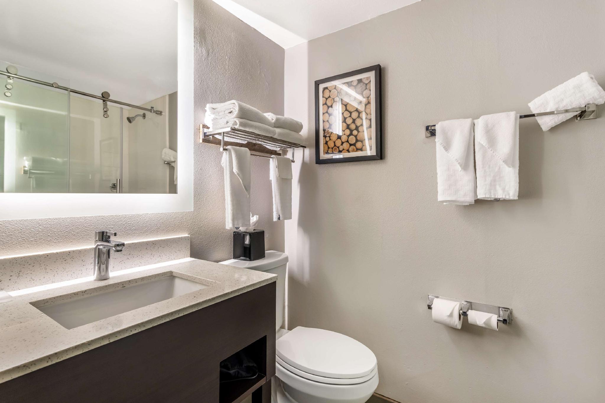 Best Western Atlanta-Marietta Ballpark Hotel 写真