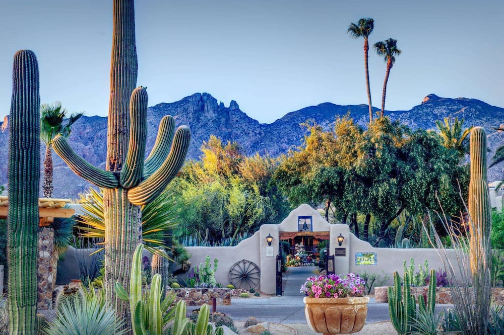 Hacienda del Sol Guest Ranch Resort 写真