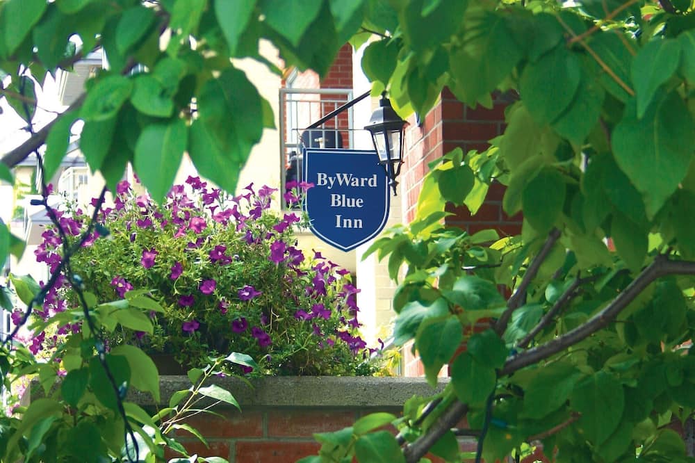 バイワード ブルー イン 写真