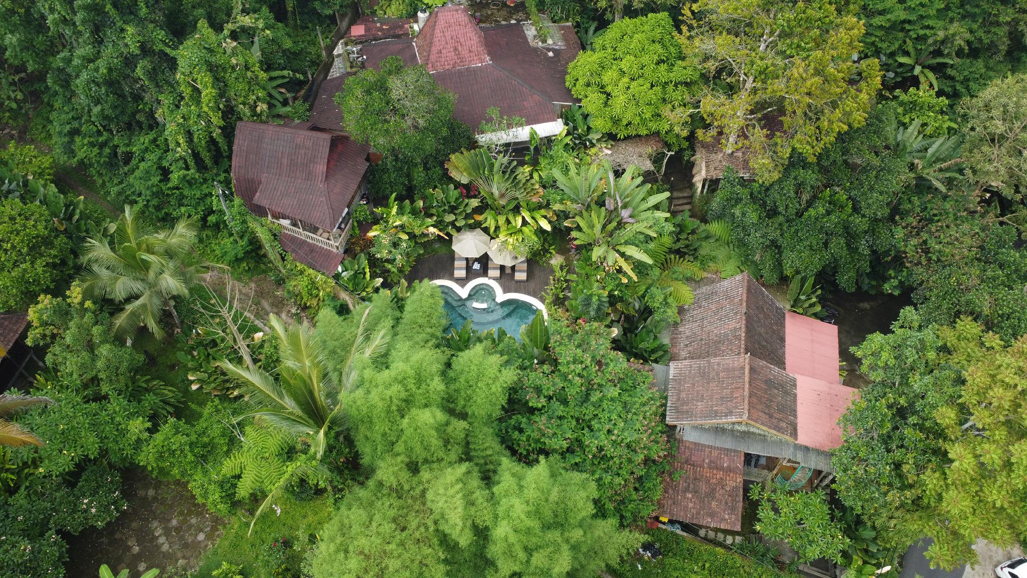 ウマー ティス セバトゥ 写真