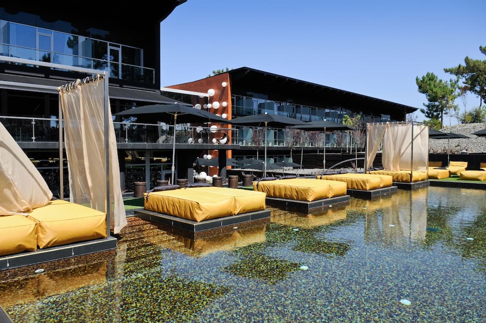 Evidencia Belverde 写真